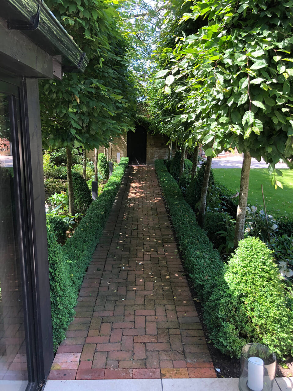 Garden design with paved path through avenue of trees