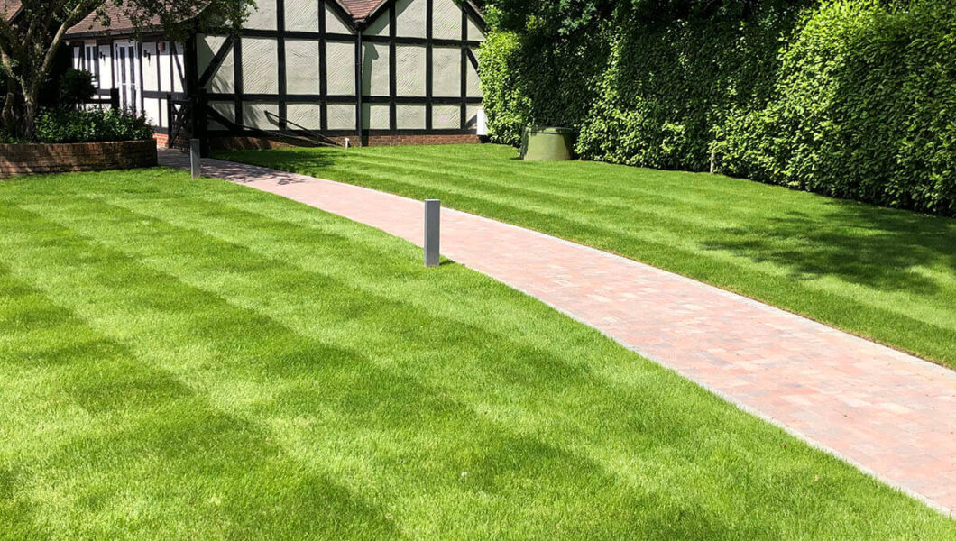 Lawn design