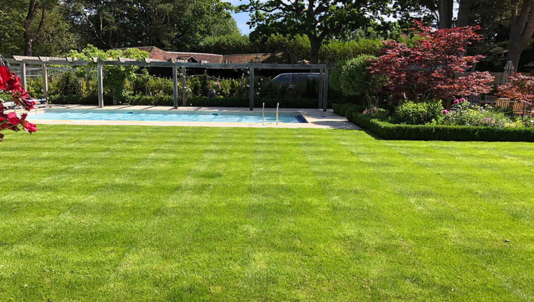 Lawn preparation and installation